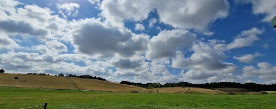 Royston Rugby Club