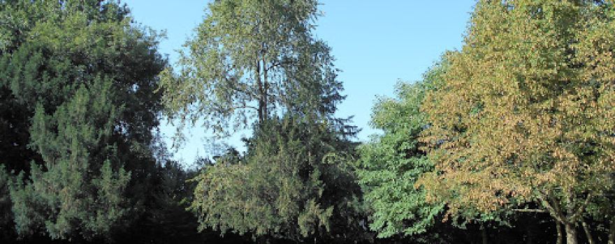 Parco Rizzi
