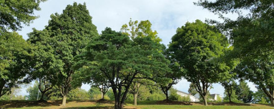 Mary Elizabeth Park