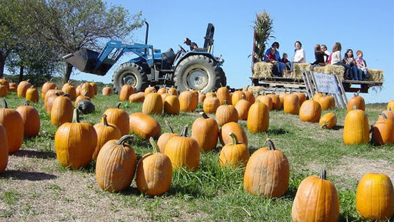 Garden of Eve Organic Farm
