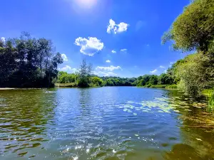 Vityaz