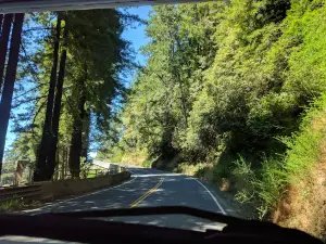 Anchor Bay Campground