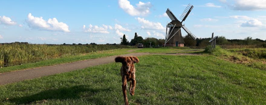Van der Woude Hoveniersbedrijf