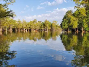 Mill Creek Park
