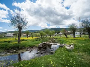 ANKARA CAMP CARAVAN CLUB