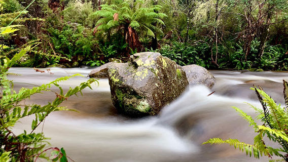 Mount Buller