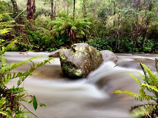 Mirimbah Park