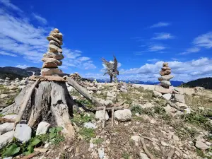 Aquila Vaia di Marcesina