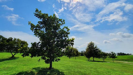 Sturgeon City Park