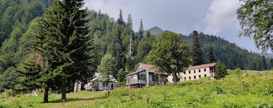Hut