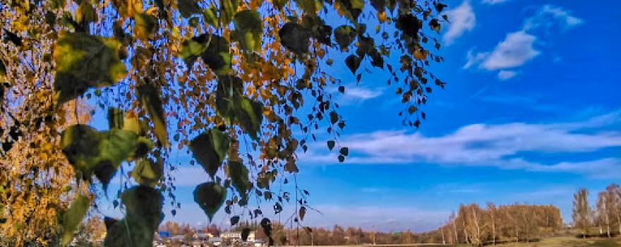 Kireyevskiy Gorodskoy Park Kul'tury I Otdykha