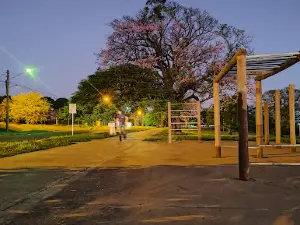 Ponto de Caminhada Municipal