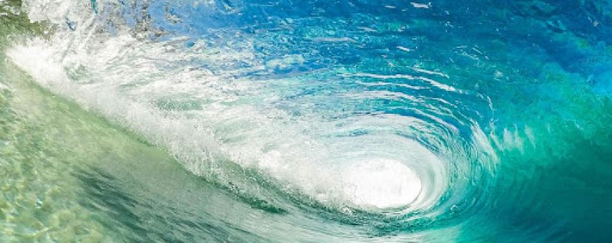 Surf Happens
