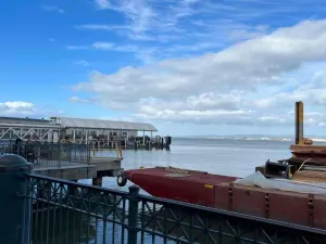 Hog Island Oyster Co.