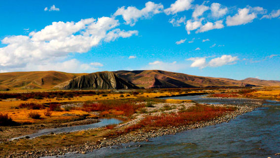 Qinghai Lake National Nature Reserve