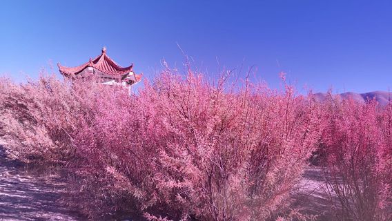 jia mu hong liu shi di gong yuan