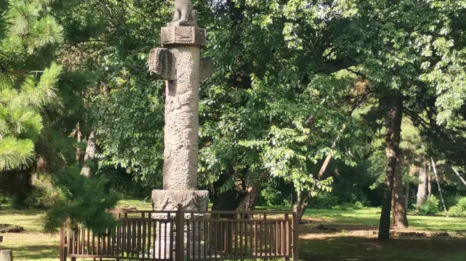 qing fu ling - hua biao