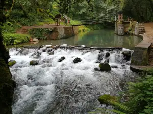 Pancho Poza Ecological Reserve