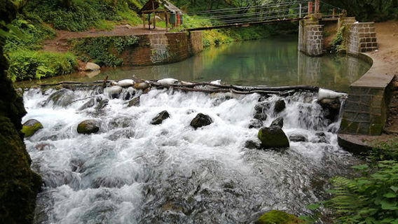 Pancho Poza Ecological Reserve