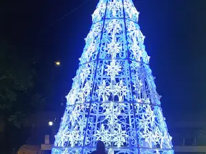 Morangão De Bom Principio