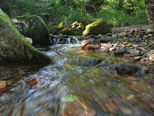 Frog's Stone