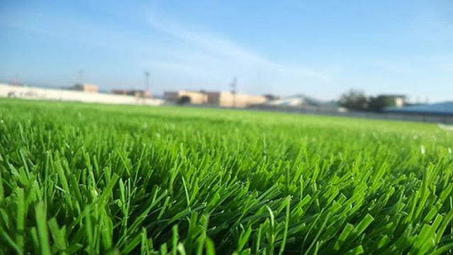 STADE MUNICIPAL DREAN