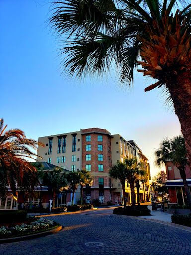 Regal Palmetto Grande