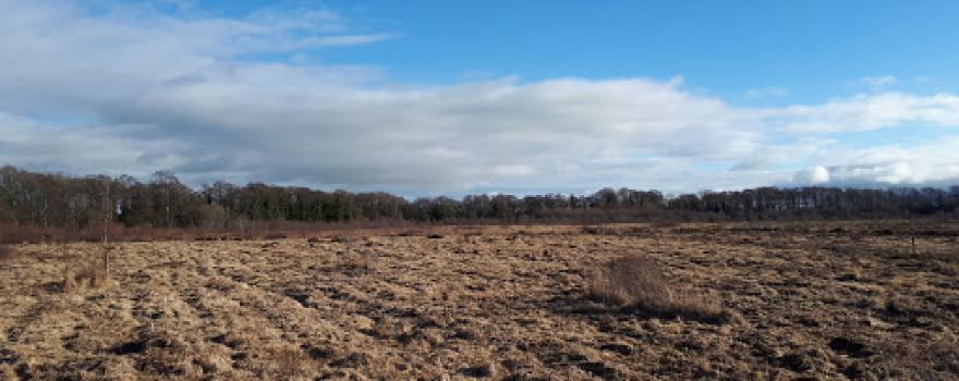 Wem Moss National Nature Reserve