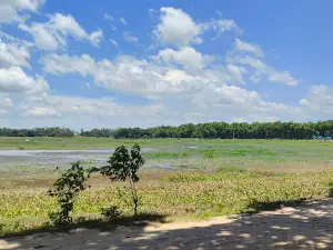 Nawabganj National Park