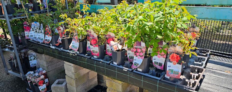 Ward's Nurseries & Garden Centre Ltd