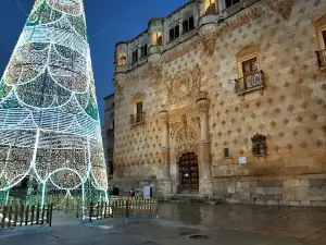 Museo de Guadalajara