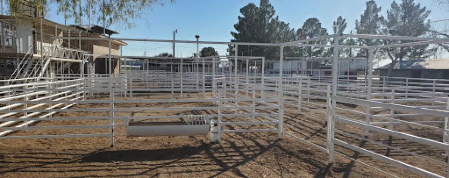 Buck Jackson Rodeo Arena