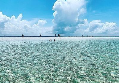 Mombasa Marine National Park