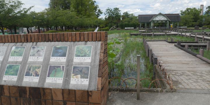Kouno park