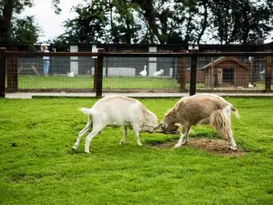 Clonfert Farm