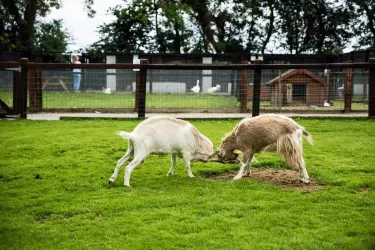 Clonfert Farm