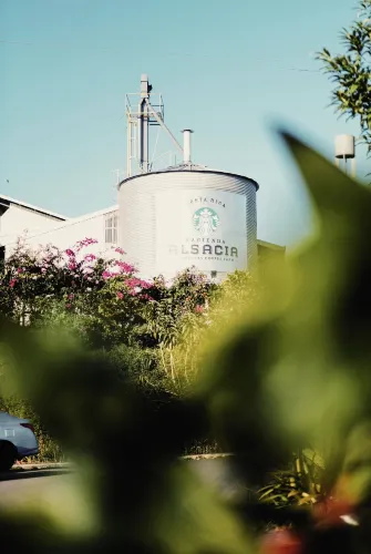 Finca Cafetalera Hacienda Alsacia Starbucks