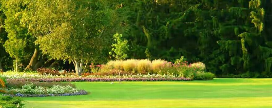 Birsa Munda Park