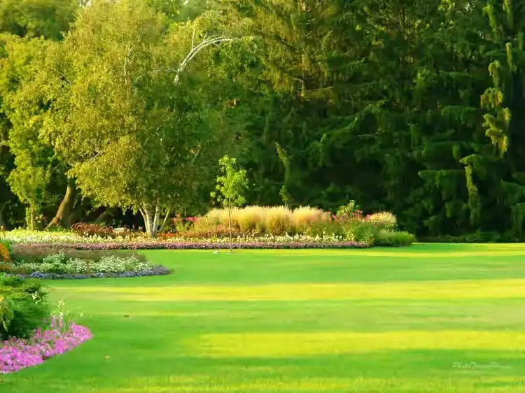 Hotels in der Nähe von Bhatinda Fall