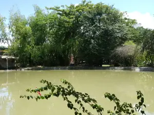 Guadua Park