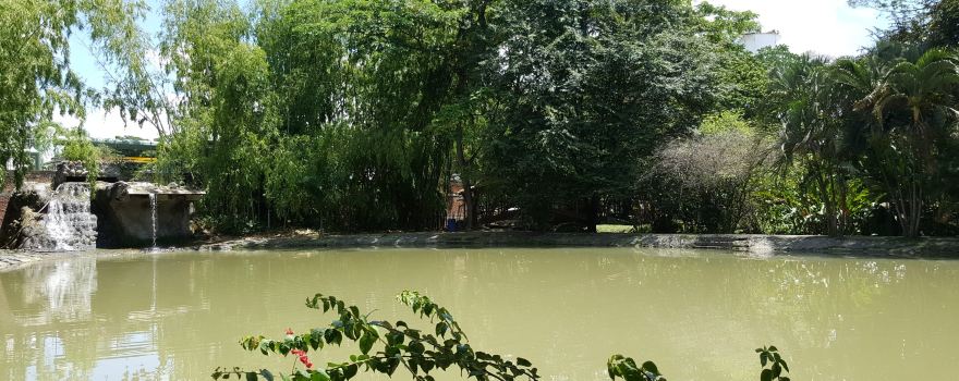 Guadua Park