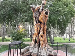 Palmtree Garden