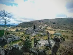 Piedras Del Chivo Negro