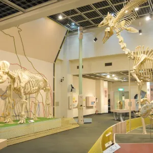 神戸市立王子動物園