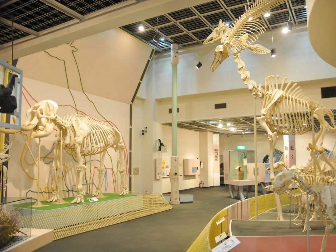 2_神户市立王子動物園