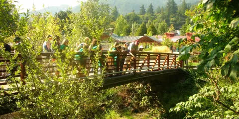 Friends of the Issaquah Salmon Hatchery