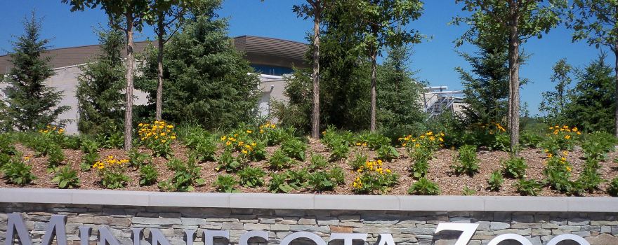 Minnesota Zoo