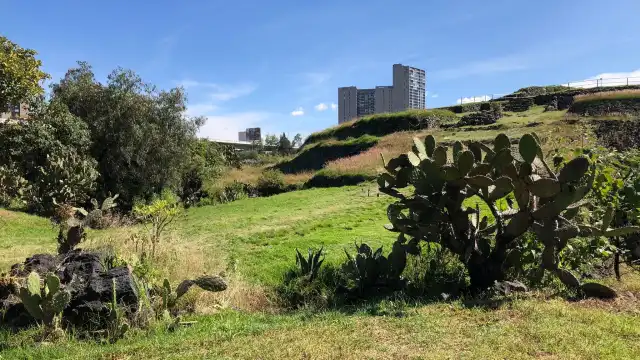 Hotels near Cuicuilco