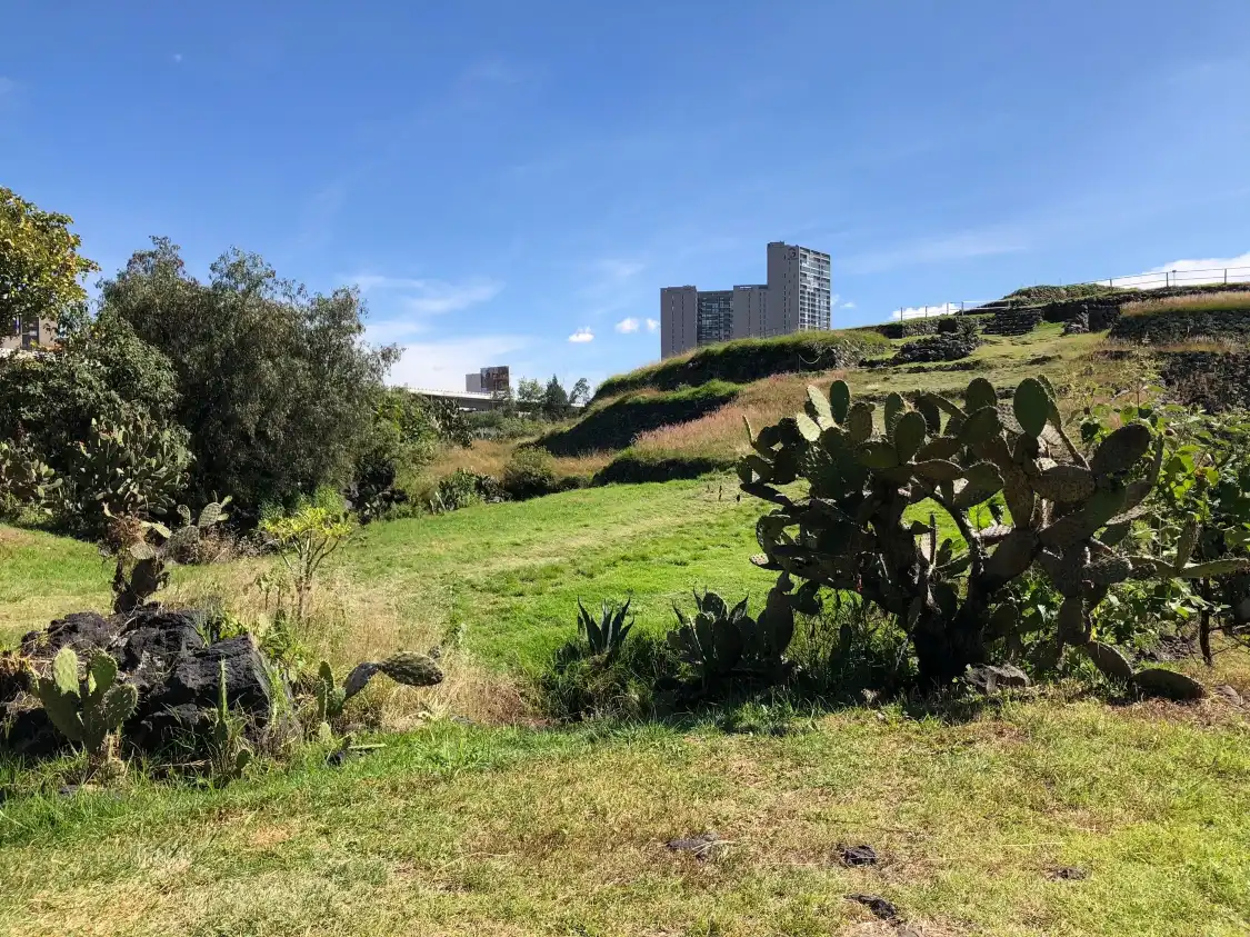 Hotels near Cuicuilco