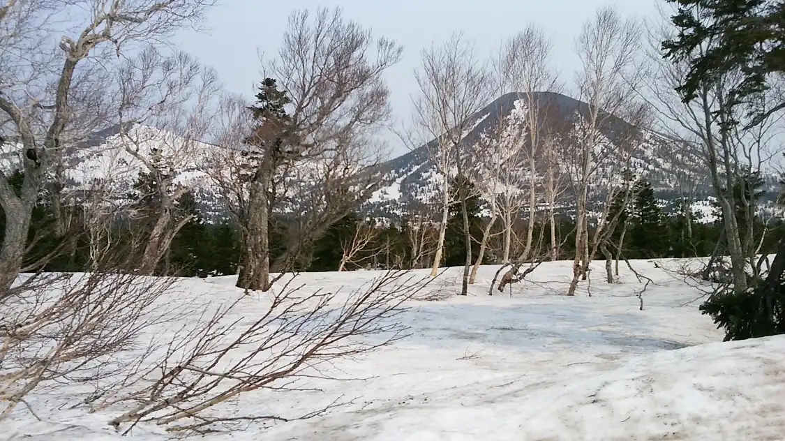 雪廊附近的飯店